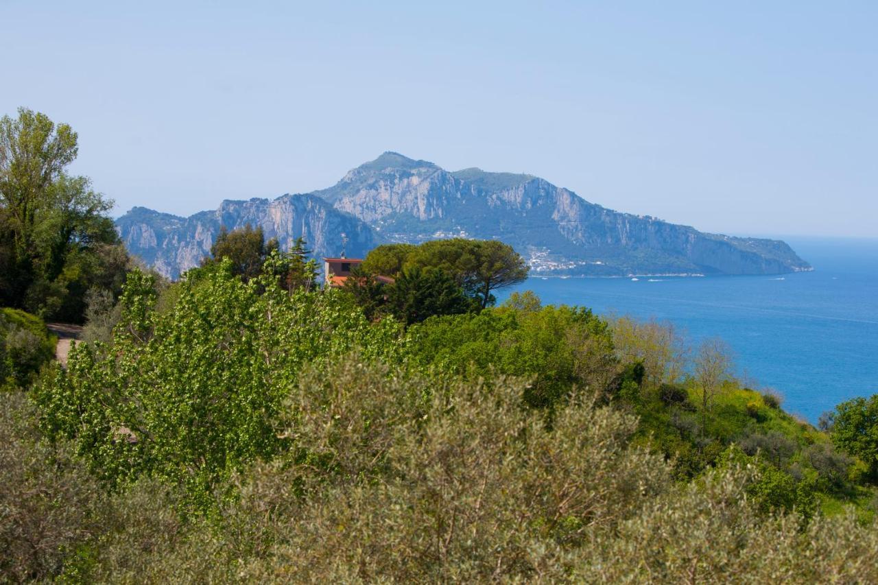 Villa Venus In Penisola Sorrentina Масса-Лубренсе Екстер'єр фото