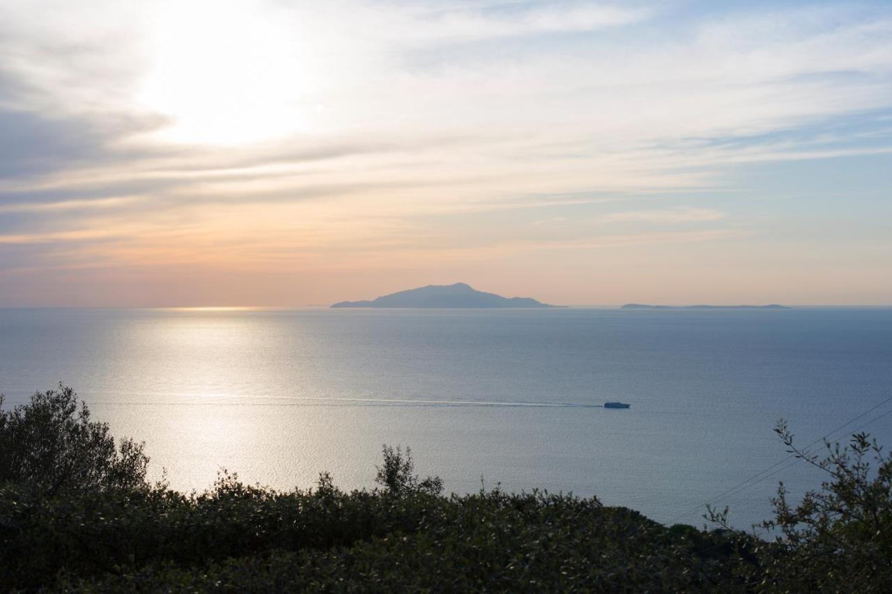 Villa Venus In Penisola Sorrentina Масса-Лубренсе Екстер'єр фото