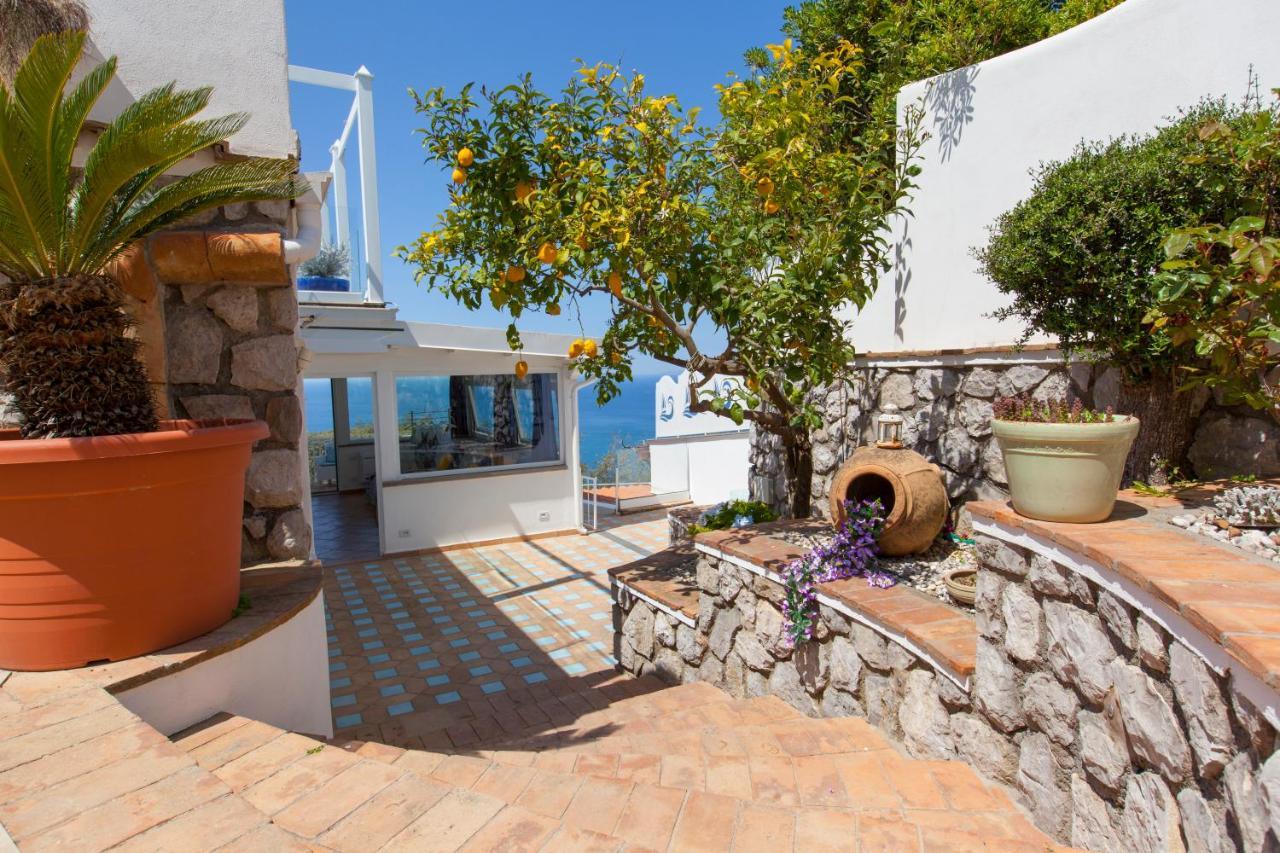 Villa Venus In Penisola Sorrentina Масса-Лубренсе Екстер'єр фото